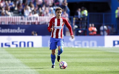 熊猫体育焦点-伤情如何